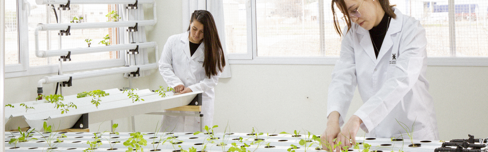 En la UTN Chubut, dos estudiantes becarias realizan investigación en un laboratorio de acuaponia da la Facultad Regional.